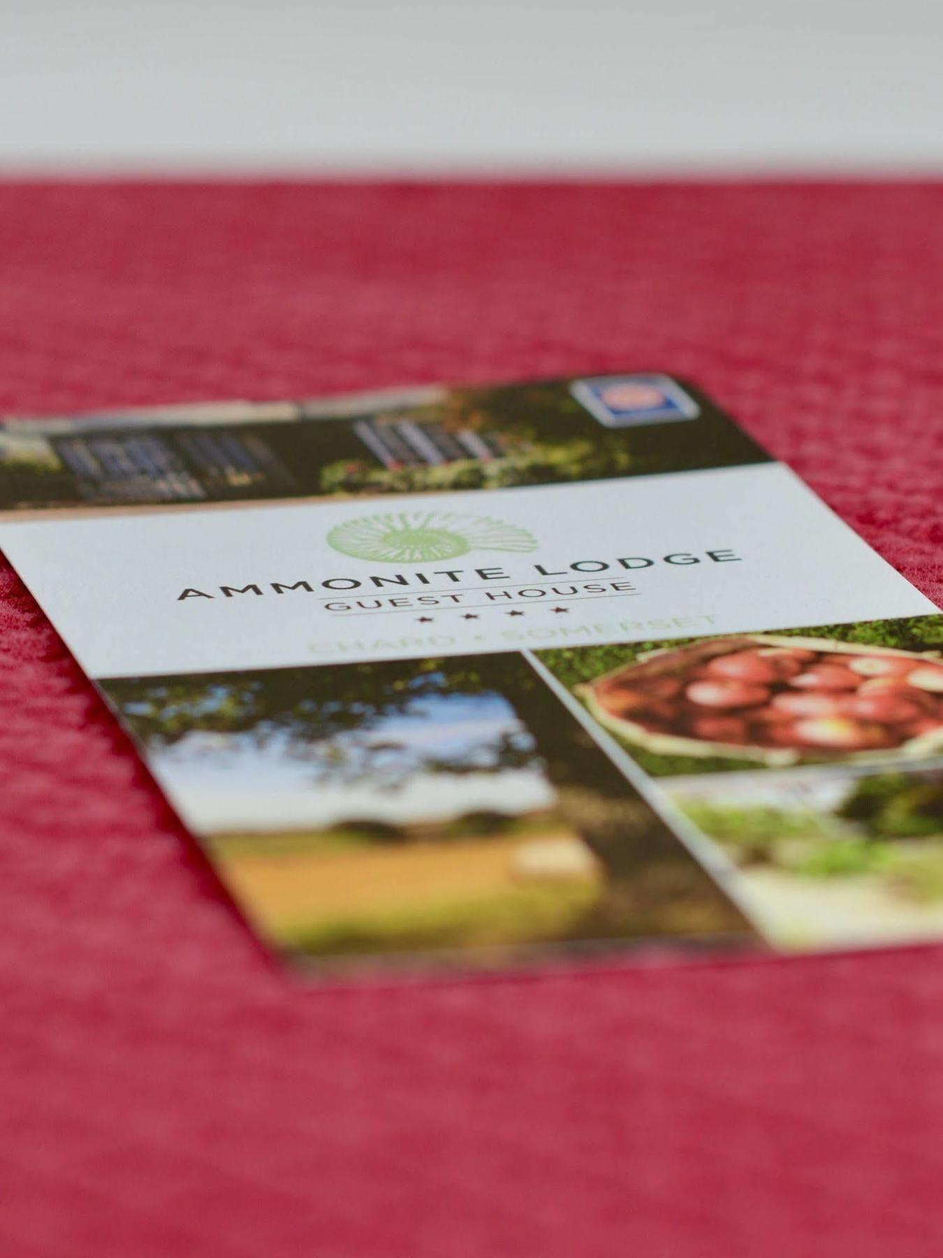 Ammonite Lodge Chard Buitenkant foto