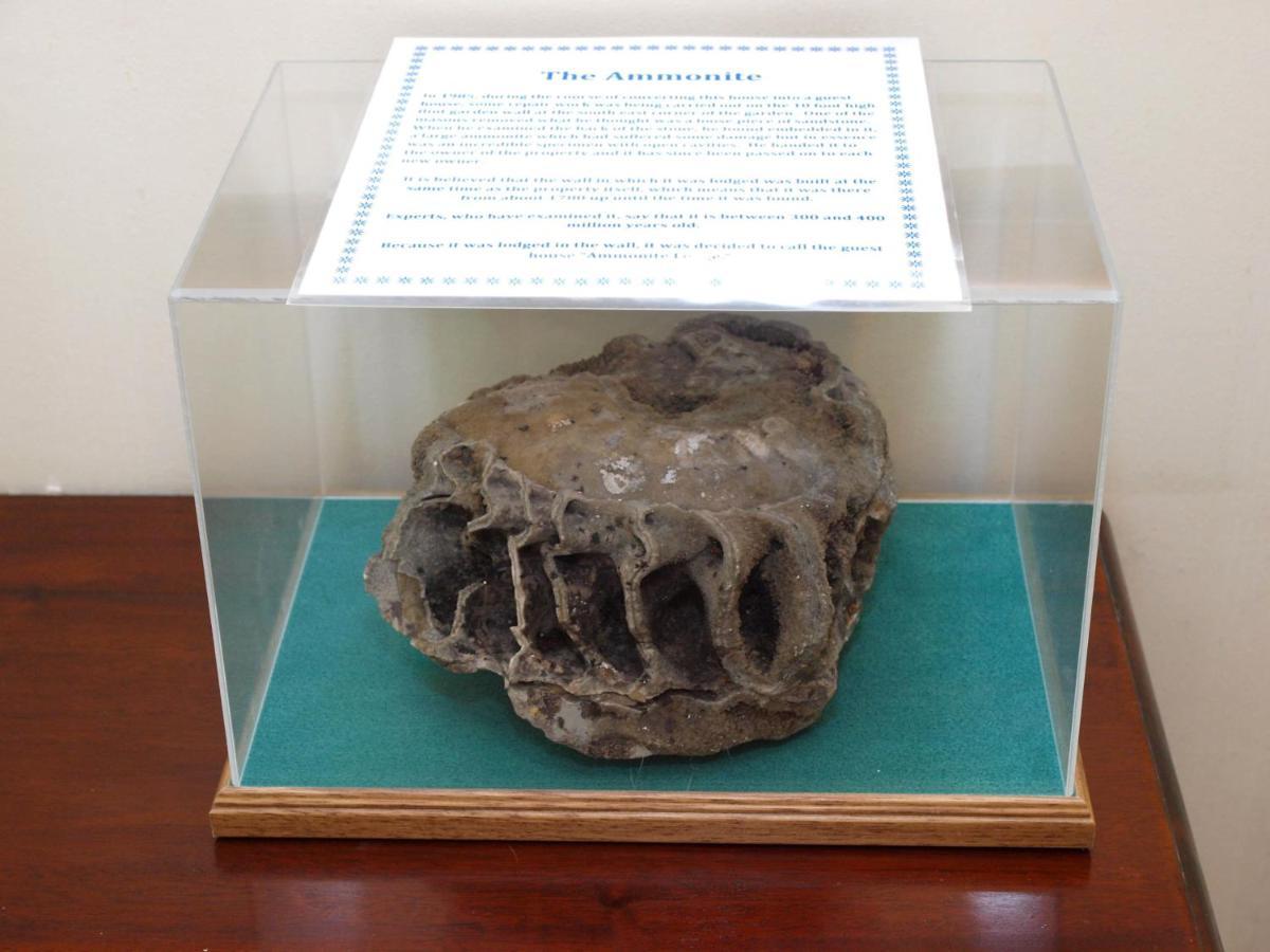 Ammonite Lodge Chard Buitenkant foto